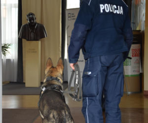 Wielkie ćwiczenia służb pod Krakowem