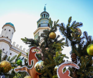 Choinka wraca na Stary Rynek i rozświetli Poznań. W sobotę miasto zacznie świętować na dobre