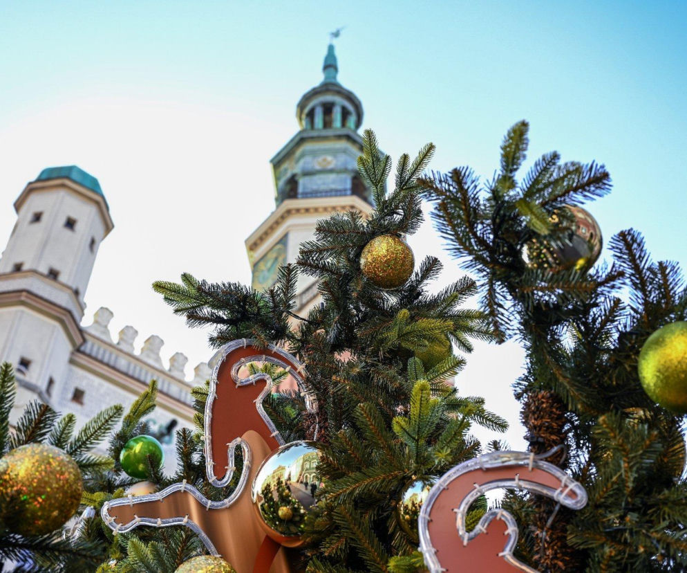 Trwa montaż choinki i świątecznych iluminacji