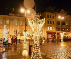 Bydgoszcz: Choinka z Borów Tucholskich stanęła na Starym Rynku