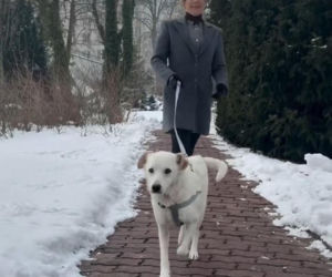 Pieski w Pałacu Prezydenckim