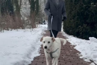 Pieski w Pałacu Prezydenckim