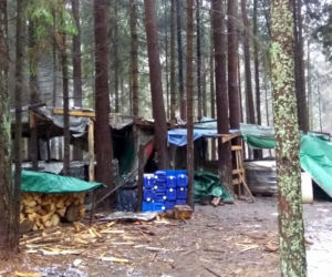 Krynki. Leśna bimbrownia zlikwidowania