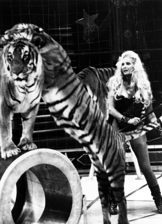 Sally Kirkland nie żyje. Odeszła wielka gwiazda