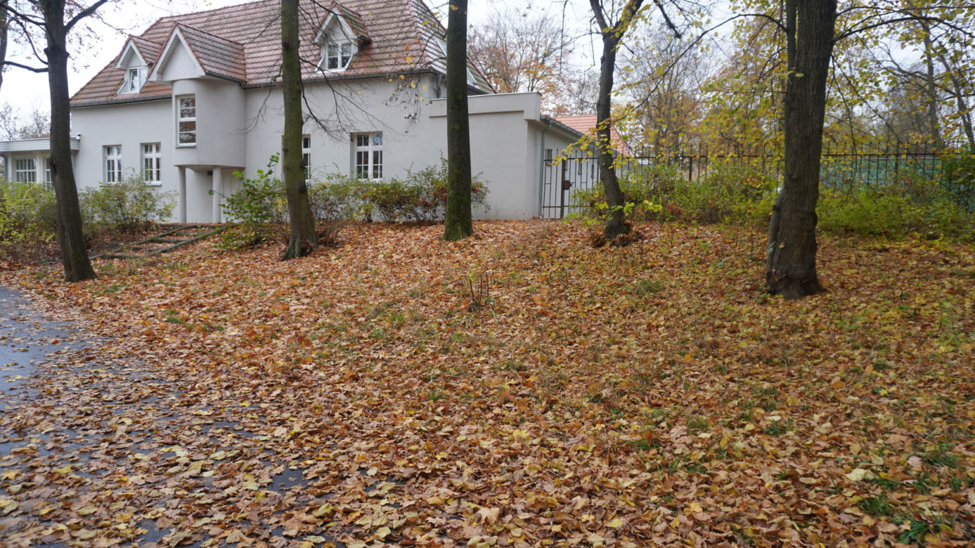 Park Sołacki w Poznaniu jesienią