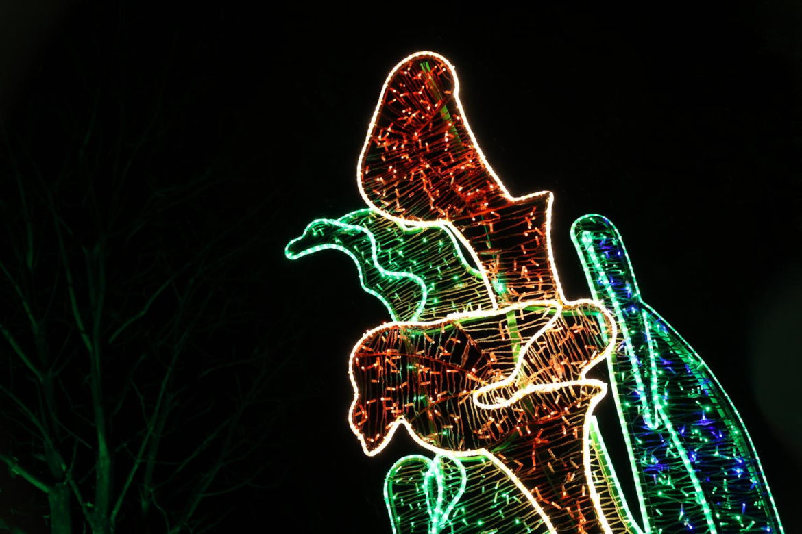 Lumina Park 2023 w Lublinie