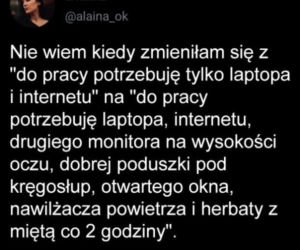 Memy o pracy