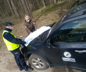 Koronawirus na lesnych ścieżkach. Policja i leśnicy na wspólnych patrolach