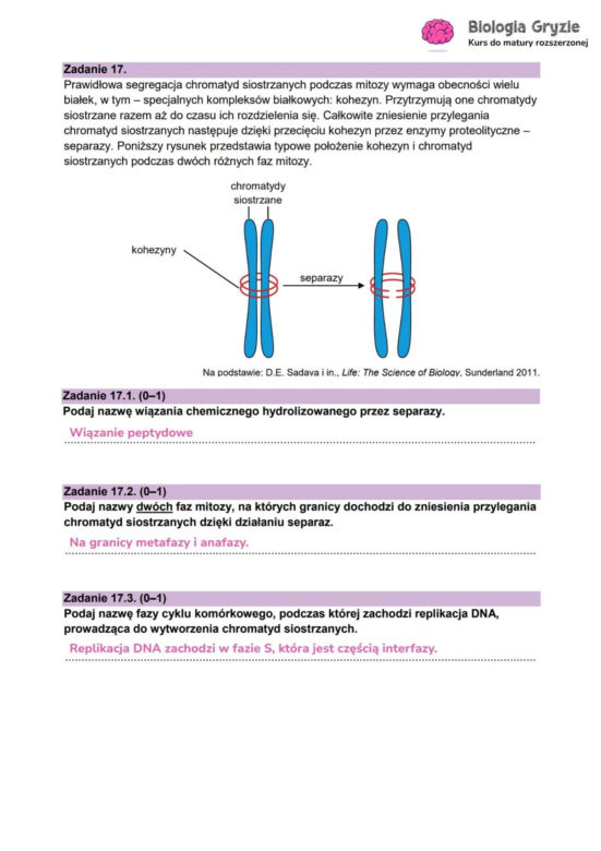 Matura 2026 biologia ROZSZERZONA: Arkusze CKE i odpowiedzi - sprawdź, czy zdałeś! 8.05.2026