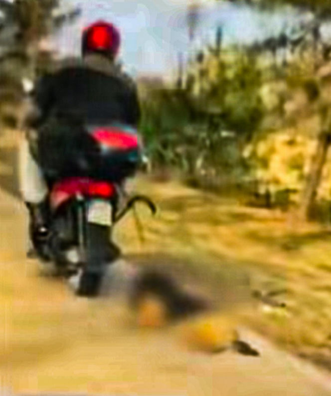 Rolnik ciągnął psa na sznurku za skuterem Mieszkańcy Grabowa wstrząśnięci!