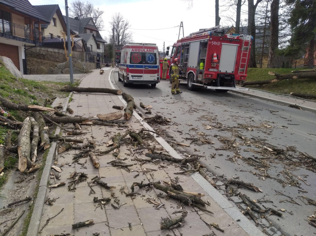 Tragedia w Zakopanem. Drzewo spadło na samochód. Młoda kobieta nie żyje