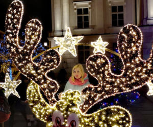 Świąteczne iluminacje rozświetliły Kalisz! To trzeba zobaczyć [ZDJĘCIA]