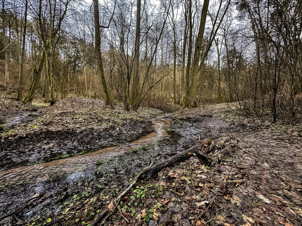 Rzeka Łyna