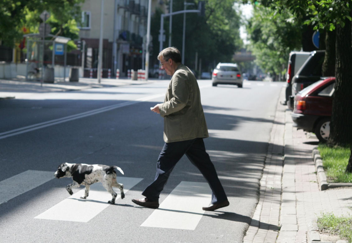 Pieski w Pałacu Prezydenckim