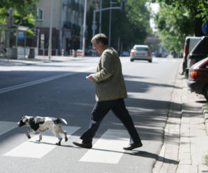 Pieski w Pałacu Prezydenckim