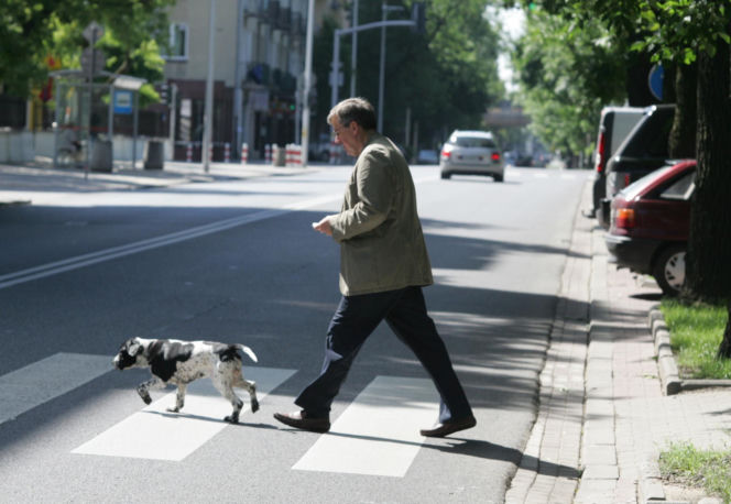 Pieski w Pałacu Prezydenckim