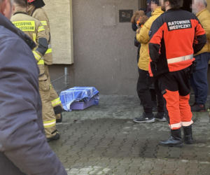 Pożar mieszkania na parterze. Strażacy z ognia wynieśli przerażonego kota