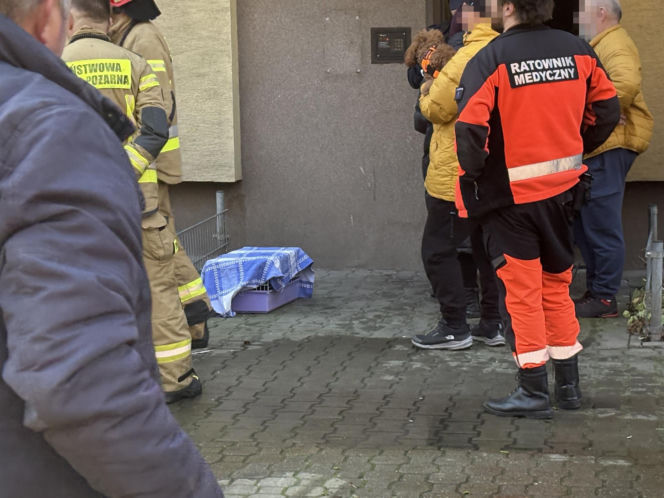 Pożar mieszkania na parterze. Strażacy z ognia wynieśli przerażonego kota