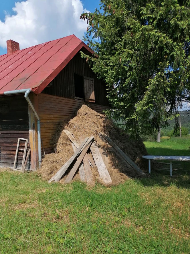 Remont chyży łemkowskiej w Hańczowej