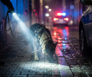 Mężczyzna z siekierą w Piaskach. Ukradł auto, a potem próbował się zabić