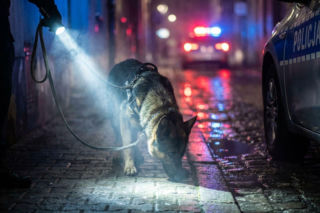 Mężczyzna z siekierą w Piaskach. Ukradł auto, a potem próbował się zabić