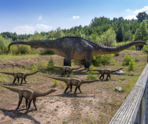 JuraPark Krasiejów