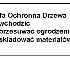 Uszkodzenia drzew. Ochrona drzew w mieście