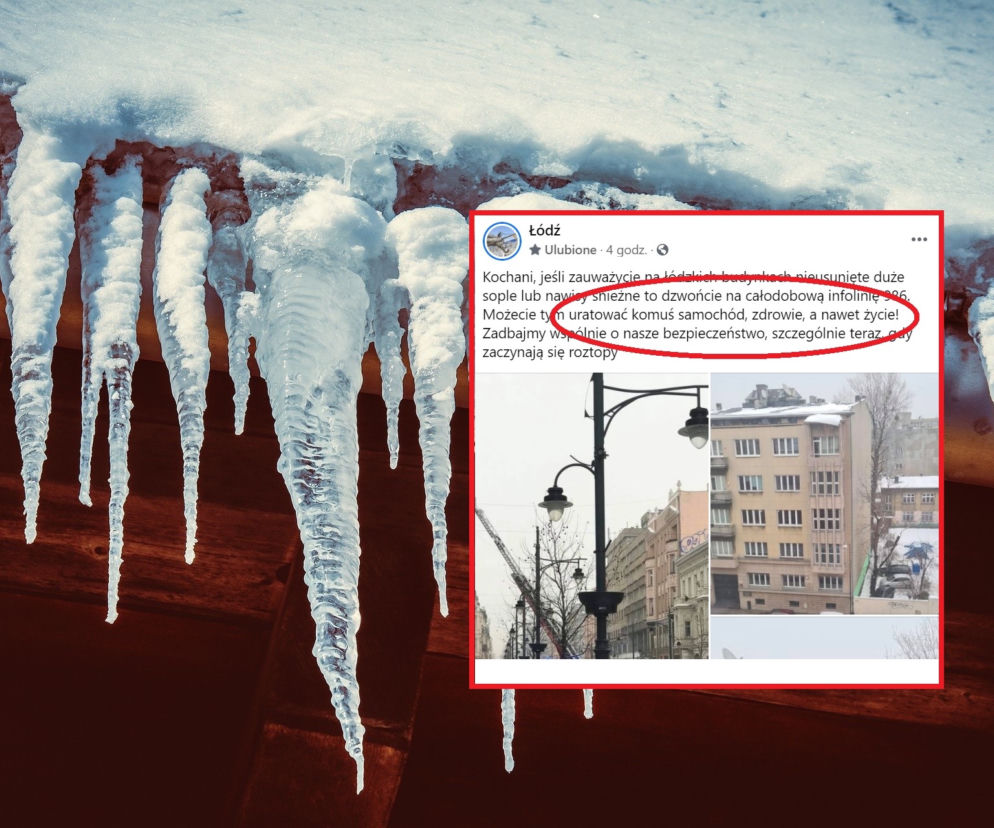 Samochód ważniejszy od życia?