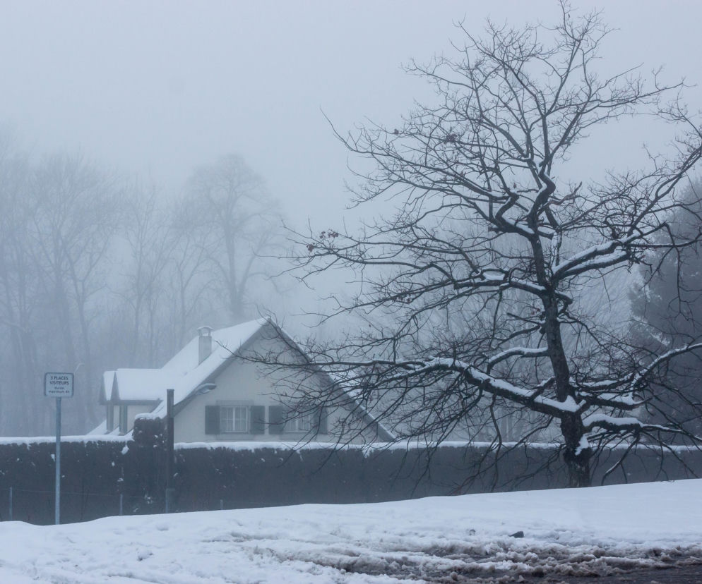 Zapowiada się śnieżyca! Dwa województwa objęte alertami. Synoptycy biją na alarm