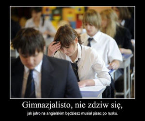 Memy egzamin gimnazjalny