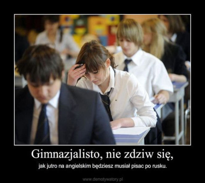 Memy egzamin gimnazjalny