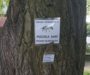 Półki bookcrossingowe w Ogrodzie Botanicznym UKW