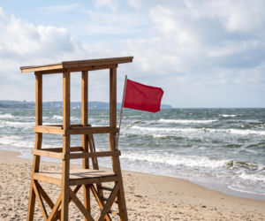 Sinice Gdynia. Czy w Gdyni można się kąpać 07.08? Flaga, warunki pogodowe