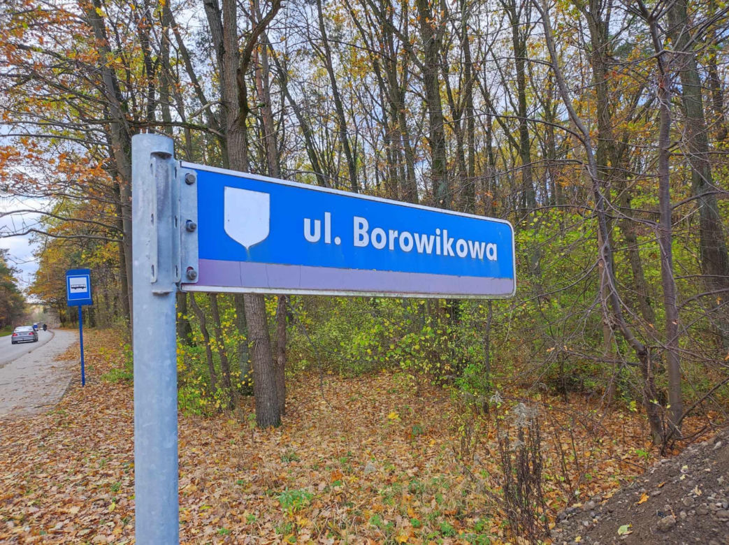Roboty w obrębie wiaduktu na Domanickiej w Siedlcach mogą potrwać nawet półtora roku