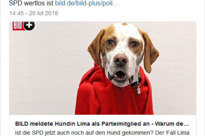 Pies zapisał się do partii