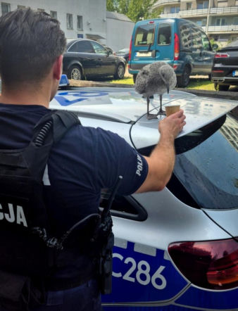 Mewa usiadła na radiowozie. To, co zrobili policjanci, rozczuliło wszystkich!