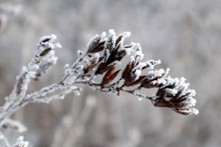 Zaskakujący spadek temperatur w Bydgoszczy! IMGW wydał ostrzeżenie I stopnia