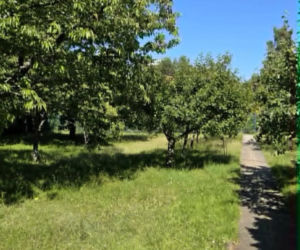 W takich warunkach mieszka Lech Wałęsa. Aż szczęka opada na sam widok