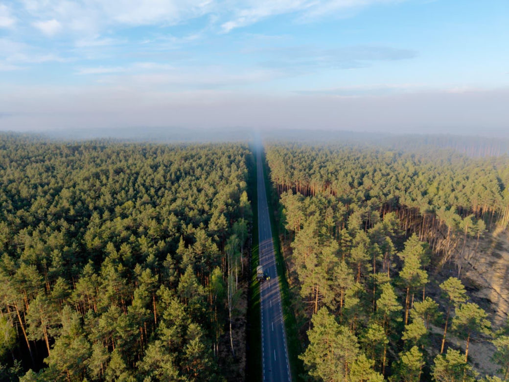 Ktoś podłożył ogień w Puszczy Solskiej? "Przyczyną mogło być podpalenie"