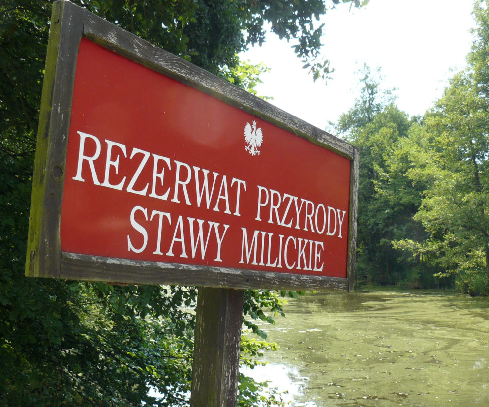 Dzięki nowej aplikacji mobilnej podróżowanie po Dolinie Baryczy będzie jeszcze łatwiejsze