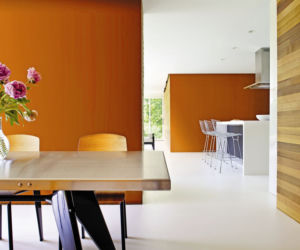 Miedziany brąz na ścianie i peonie na stole to połączenie doskonałe