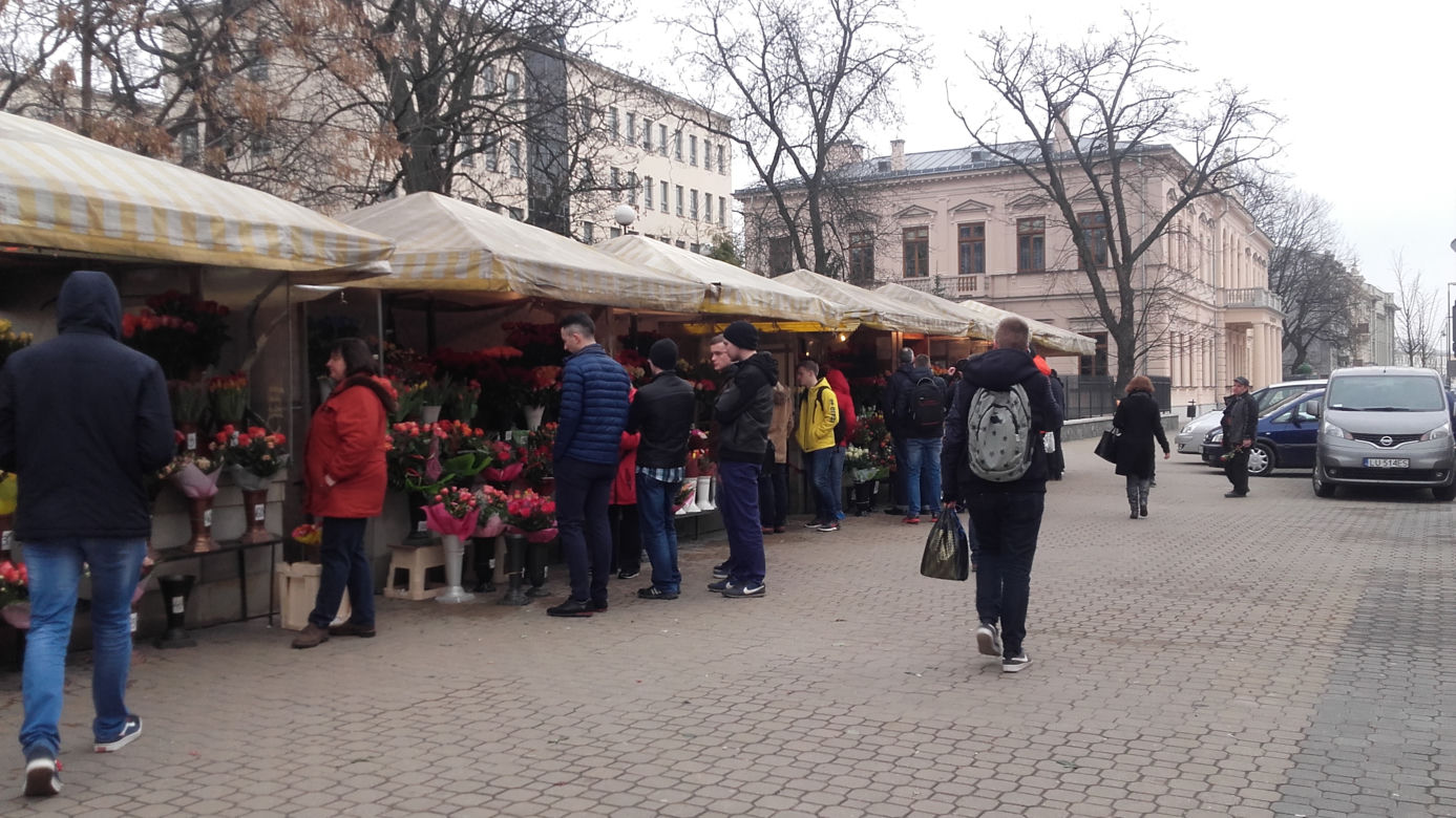 Oblężenie murku z kwiatami