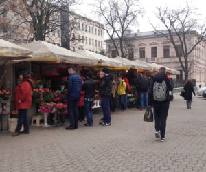 Oblężenie murku z kwiatami