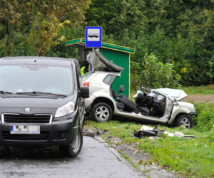 ŚMIERĆ POD TIR-EM PRZEWĄŻĄCYM ŚWINIE.