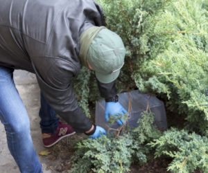 Policjanci rozpracowali grupę narkotykową