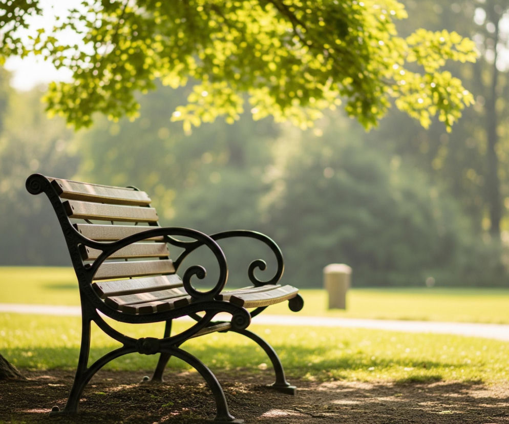 Na pierwszym planie, z prawej strony, stoi pusta ławka parkowa z drewnianymi listwami w odcieniach brązu i oparciem z czarnego, ozdobnie kutego metalu. Ławka rzuca cień na ziemię pokrytą drobnym żwirem i fragmentami suchej trawy, znajdującą się pod rozłożystym, ciemnym pniem drzewa widocznym po lewej stronie kadru. W tle rozciąga się zielony trawnik przecięty jasną, prostą ścieżką, a za nim widać rozmyte sylwetki drzew i krzewów o jasnozielonych liściach, z których niektóre są podświetlone przez słońce, tworząc efekt bokeh.