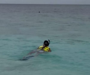 Małgorzata Rozenek i Radosław Majdan nurkują  Malediwach