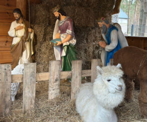 Żywa szopka w Lipowicy – magiczne święta tuż obok Kielc