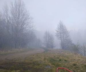 Pożar Lubańskiego Wielkiego Lasu 