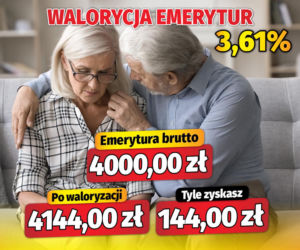 Waloryzacja